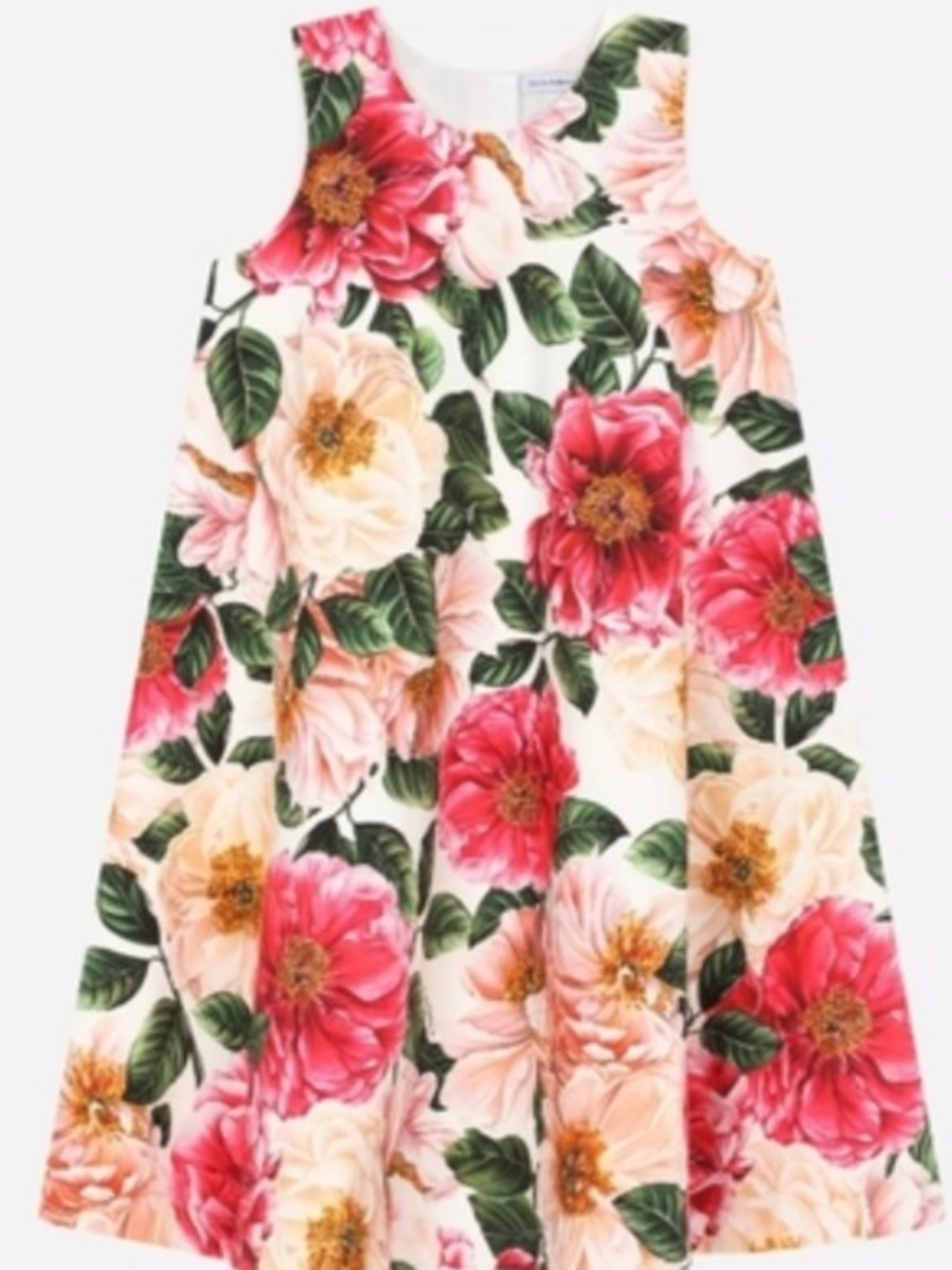 Dolce & Gabbana Floral A-Line Dress in Pink, Cream & Green